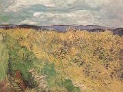 Whear Field with Cornflowers (nn04) Vincent Van Gogh